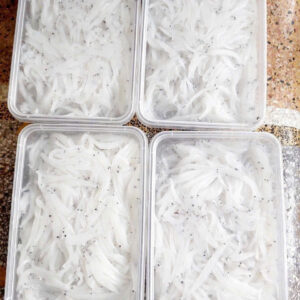 CÁ NGẦN SÔNG ĐÀ