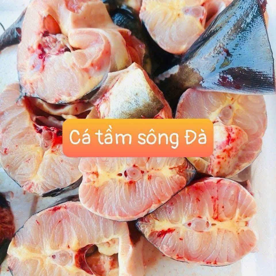 Cá tầm thiên nhiên