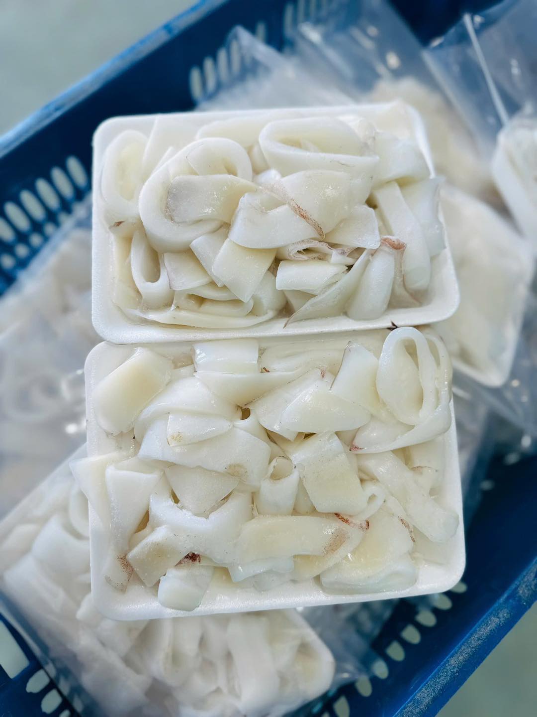 Mực ống cắt khoanh