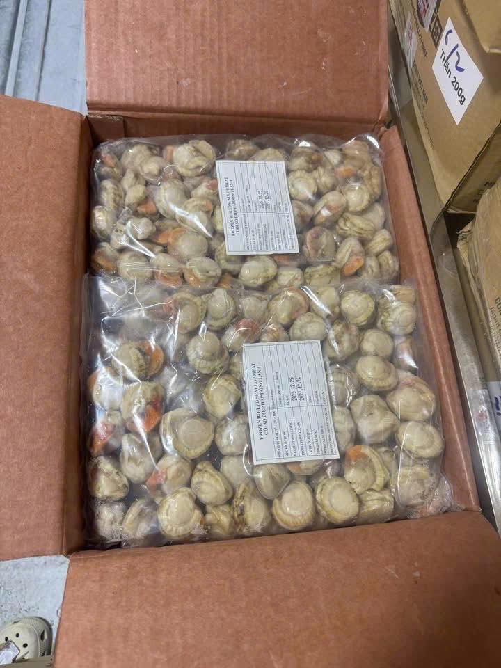 Nõn điệp hấp VIP